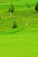 juego en el golf club en contra el antecedentes de el verde jugoso césped foto