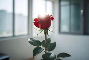 Close-up of a red rose with green leaves, against an out-of-focus background of a room with large windows photo