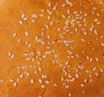 Fresh burger bun with sesame seeds close up on top view photo