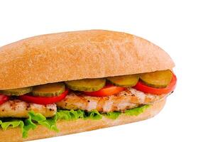 Grilled Chicken and Vegetable Sandwich isolated photo