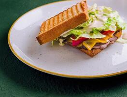 Prepared roastbeef served with vegetables and herbs on a bread toast photo