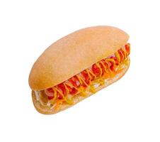 Delicious hot dog with mustard and ketchup on white background photo