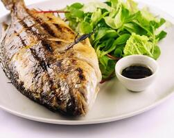 Grilled trout and lettuce on a white plate photo