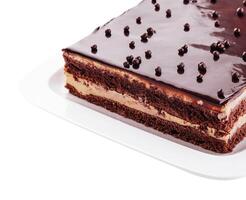 Chocolate cake on a white plate photo