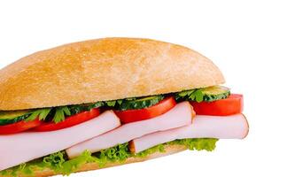 Delecious sandwich isolated on white background photo