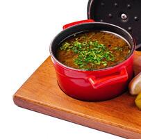 plate of very hot and spicy soup photo