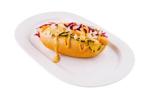 Gourmet hot dog with toppings on white plate photo