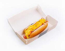 Cheesy hot dog in takeaway box on white background photo