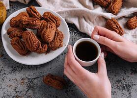 Morning coffee break with chocolate cookies photo