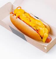 Cheesy hot dog in takeaway box on white background photo