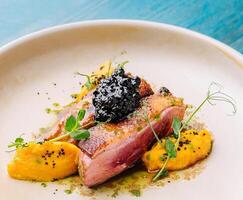 Gourmet seared duck breast with mango puree photo