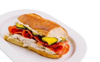 Gourmet pepperoni and vegetable sandwich on white plate photo