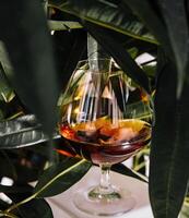 Cognac glass amidst green foliage photo