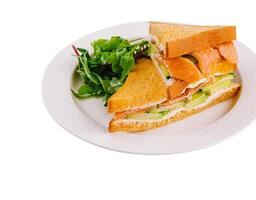 Fresh salmon sandwich with salad on white plate photo