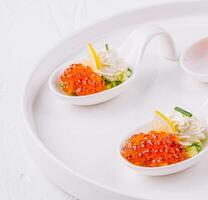 Elegant appetizers on white platter photo