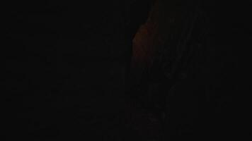 Man Holding A Burning Torchlight Exploring Forest Cave Landscape In Dark Night video