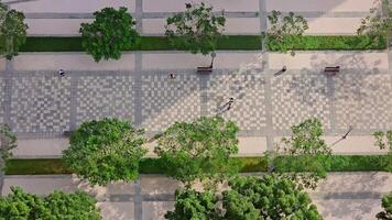 Aerial View of Pedestrians on Tiled Pathway in Dubai. Overhead view of people walking along a beautifully patterned pathway in an urban park in Dubai. video