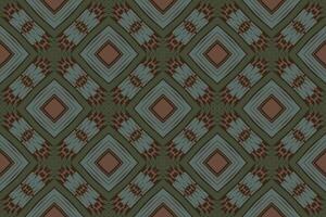 peruano modelo sin costura Mughal arquitectura motivo bordado, ikat bordado diseño para impresión cordón modelo sin costura modelo Clásico shibori jacquard sin costura vector