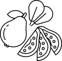 guava outline illustration vector