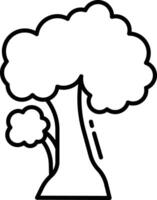 pignut hickory tree outline illustration vector