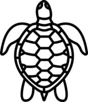 Turtle outline illustration vector