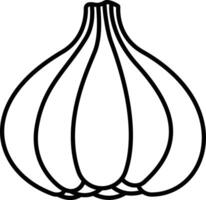 Garlic outline illustration vector