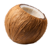 A whole coconut is shown on a transparent background png
