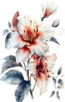 hermosa flor vides png