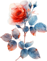 schön Blume Reben png