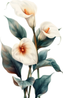 schön Blume Reben png