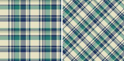 Background texture textile of seamless tartan pattern with a plaid check fabric. vector