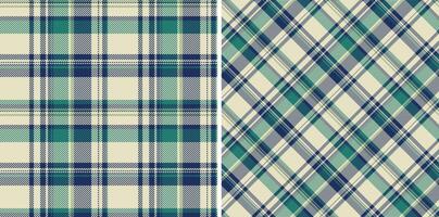 Background texture textile of seamless tartan pattern with a plaid check fabric. vector