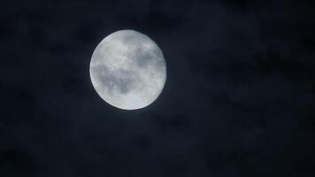 assustador Sombrio mistério noite humor do cheio lua planeta dentro espaço universo video