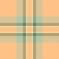 Fabric textile plaid of check tartan with a texture pattern background seamless. vector