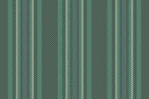 Texture textile seamless of vertical pattern fabric with a background lines stripe. vector