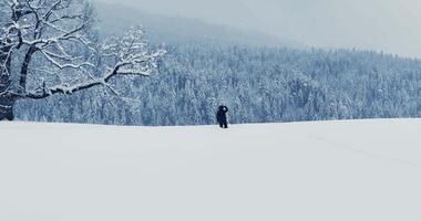 promeneur en marchant dans Profond neige en plein air dans forêt paysage video