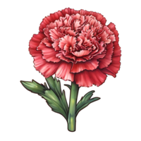 œillet fleur autocollant png