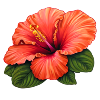 icône de fleur d'hibiscus png