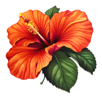 icône de fleur d'hibiscus png