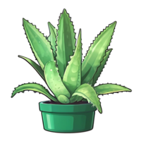 Aloe Flower Design png