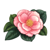 camélia flor ícone png