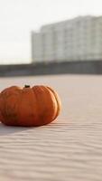 Halloween citrouille sur le plage dunes video