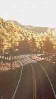 Curvy asphalt road through forest in autumn video