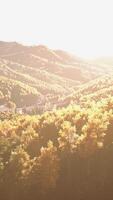 Aerial drone view of a mountain forest with colorful autumn trees video