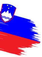 Slovenia flag paint png