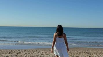 Frau Spaziergänge gegenüber das Meer im das Morgen video