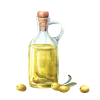 Olive oil in glass jug, bottle with cork and olive leaves and berries. Watercolor hand drawn illustration for Mediterranean food sauce vegan label, vegetarian menu. Isolated clipart white background png