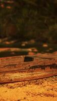 een houten boot zittend Aan top van een aarde veld- video