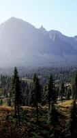 montagnes couvertes de bois dans la brume matinale video