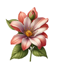 Hibiscus flower with green leaves png